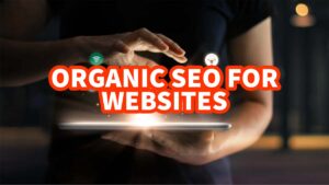 organic-seo-websites