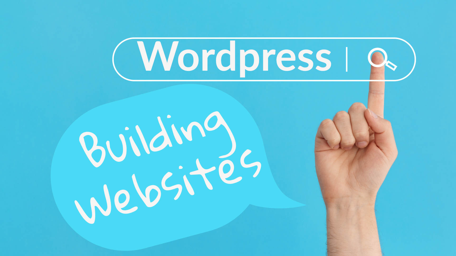 wordpress websites